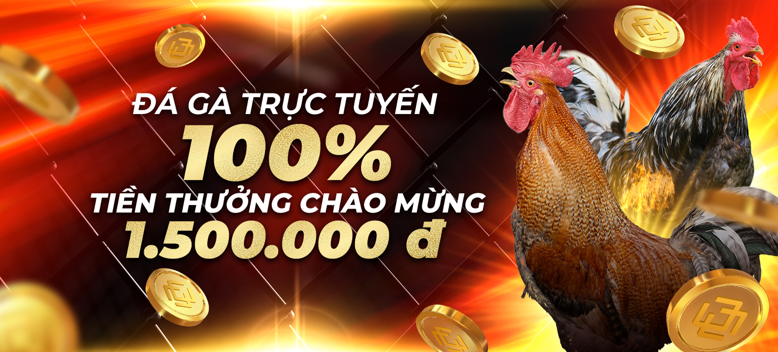 ĐÁ GÀ 100% Thưởng Nạp Lần Đầu 1.500.000 VND